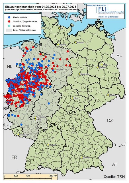 BTV Ausbrüche seit Mai