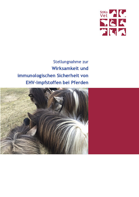 Titelseite der Stellungnahme